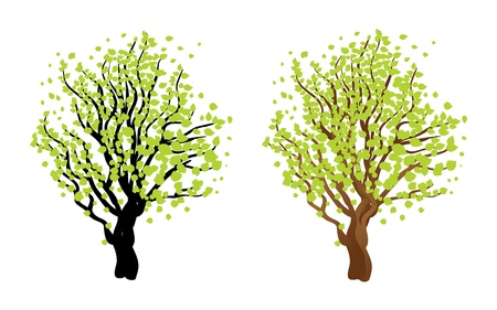 Illustration of abstract tree with fresh green leaves.のイラスト素材