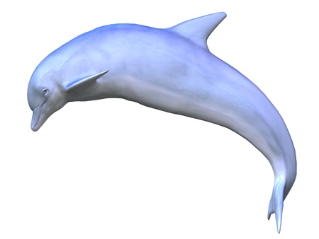 Digital render of a swimming dolphin on white background.の写真素材