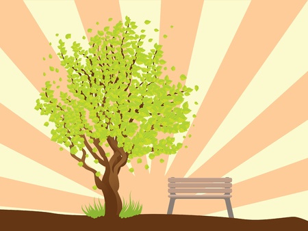 Illustration of summer tree with green leaves and bench on background with rays.のイラスト素材
