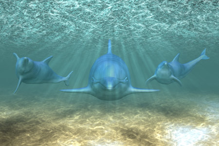 Illustration of a dolphins playing in sunrays underwater.の写真素材
