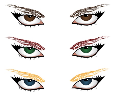 Woman eyes of different colors with eyebrows on white background.のイラスト素材