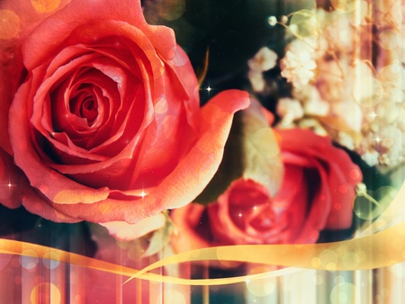 Beautiful red roses card design with bokeh effect background.の写真素材