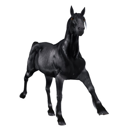 Digitally rendered image of a black horse on white background.の写真素材