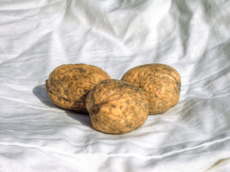 Mature walnuts on the white fabric background.