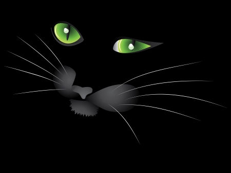 Cartoon face of Halloween cat on black .のイラスト素材