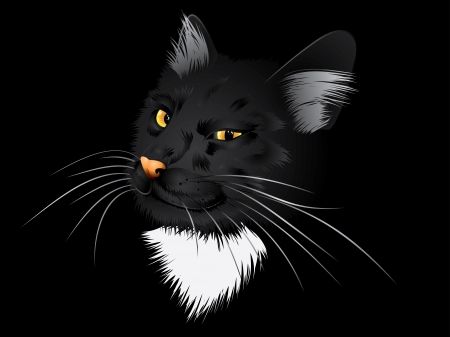 Cartoon cat with yellow eyes on black background.のイラスト素材