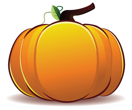 Big fresh orange pumpkin illustration on white .のイラスト素材