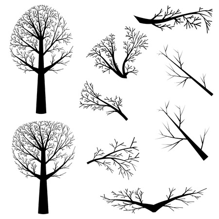 Dead trees silhouette and branches without leaves on white background.のイラスト素材