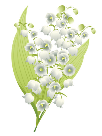 Spring flowers lily of the valley illustration on white background.のイラスト素材