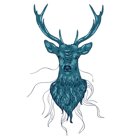 Head of a male deer in hand drawn style illustration.のイラスト素材