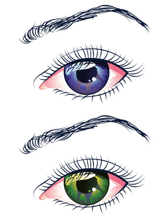 Two female eyes, violet and green colors with eyebrows.のイラスト素材