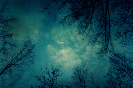 Winter leafless birch tree branches over sky, textured paper background.の写真素材