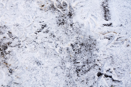 Winter shot of many shoeprints in fresh snow background.