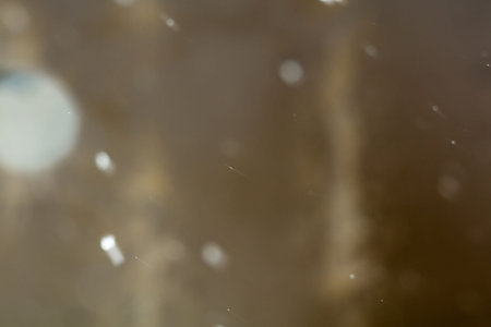 Photo of falling snow texture as natural background.の写真素材