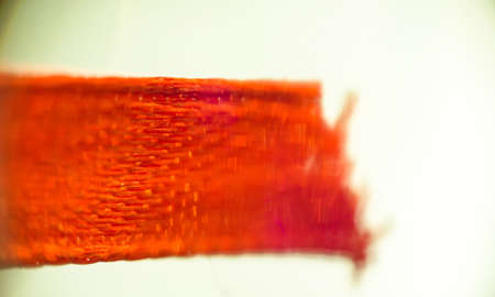 Abstract macro photo of red ribbon as background.の写真素材