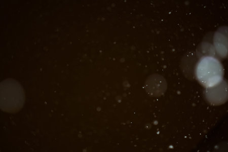 Snowfall in the winter evening, blurry natural background.