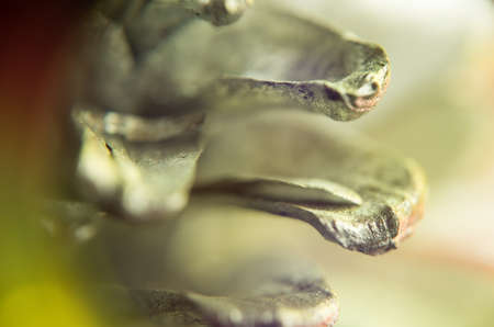 Extremely close up of colorful Christmas decorations background.の写真素材