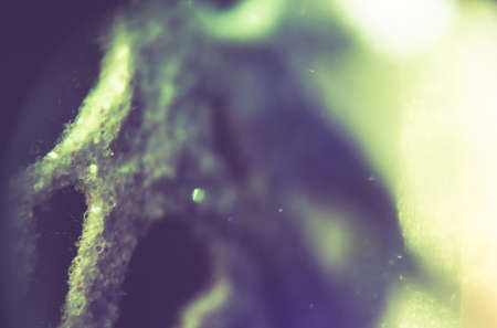 Extremely close up of colorful Christmas decorations background.の写真素材