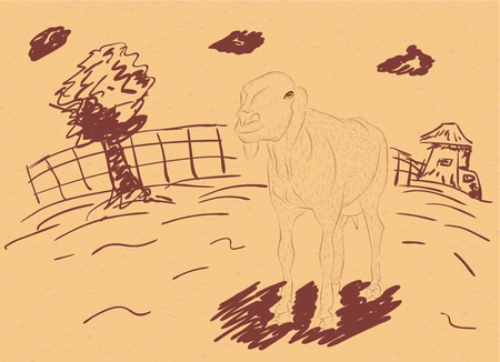 Cartoon sheep and rural landscape in hand drawn style on paper background.のイラスト素材