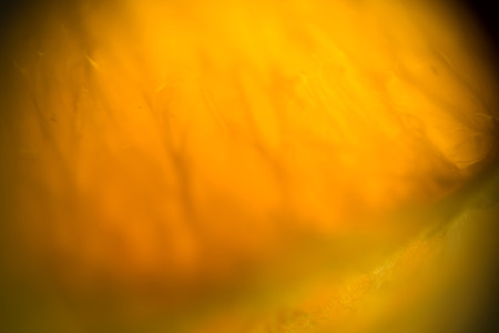 Extremely close up image of fruit surface, defocused background.の写真素材