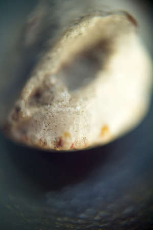 Extremely close up image of fossilized shell, shallow focus.の写真素材