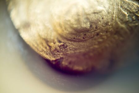Extremely close up image of old grunge coin, shallow focus.の写真素材