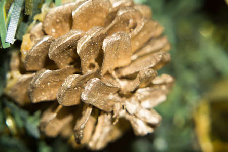 Macro photo of Christmas decorations, colorful holiday background .の写真素材