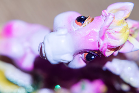 Macro photo of cute pink pony, gips toy.の写真素材