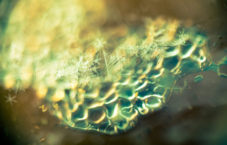 Extremely close up image of snowflakes, vintage photo effect.