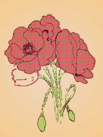 Grunge sketch of poppy flowers on yellow paper background.のイラスト素材