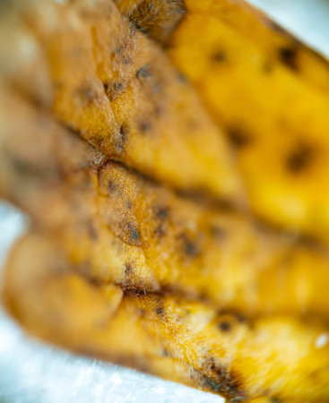 Close up of the dry yellow leaf on ice, winter background.の写真素材