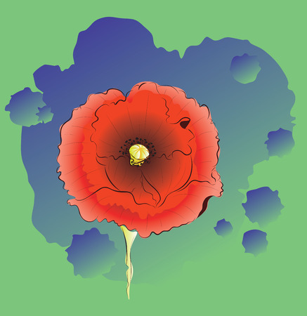 Big red poppy flower illustration, decorative floral background.のイラスト素材