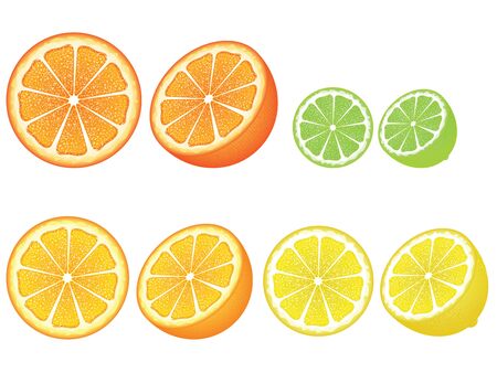 Grapefruit, lemon, orange and lime slices, colorful background.のイラスト素材