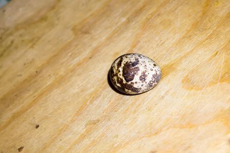 Macro of quail eggs on wooden cutting board background.の写真素材