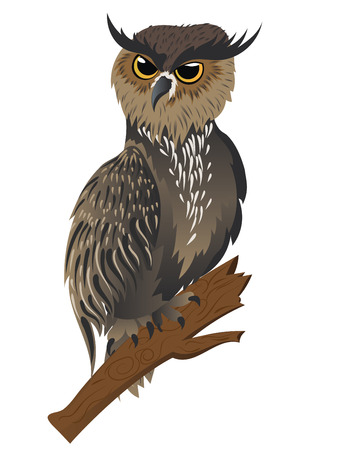 Cartoon great horned owl on a tree branch.のイラスト素材