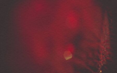 Rose petals of red color, vintage effect, paper textured photo.の写真素材