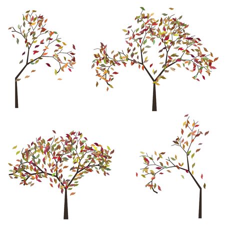 Orange, red and yellow colors leaves, autumn tree.のイラスト素材