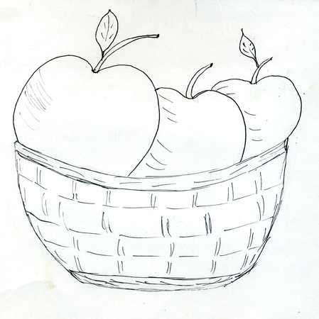 Hand drawn illustration of a wicker woven basket with apples.の写真素材