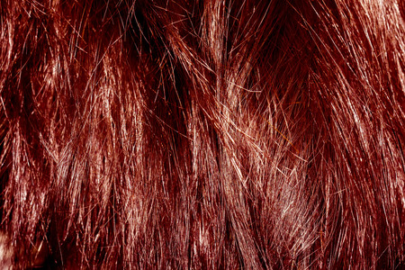 Messy hair texture of red color as background.の写真素材