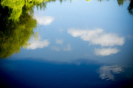 Forest trees reflection on rippled water surface, peaceful landscape.
