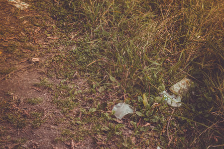 Rubbish on the grass in the park.