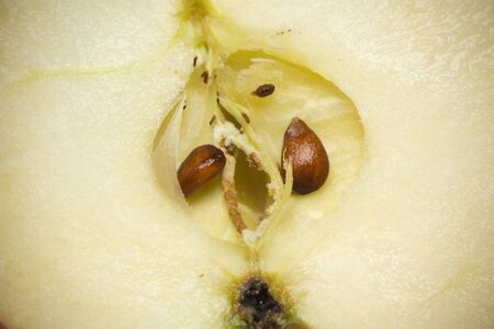 Tasty half of a ripe red apple, close up background.の写真素材