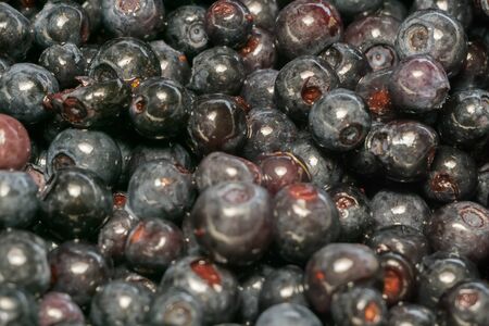 Delicious fresh blueberries background, close up photo.の写真素材