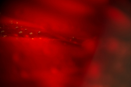 Drops of dew on a flower petal, extremely close up photo.の写真素材