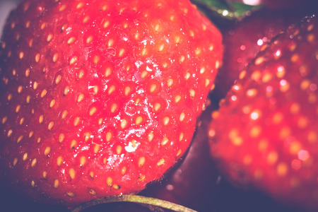 Fresh red ripe strawberry, close up photo, vintage colors.の写真素材