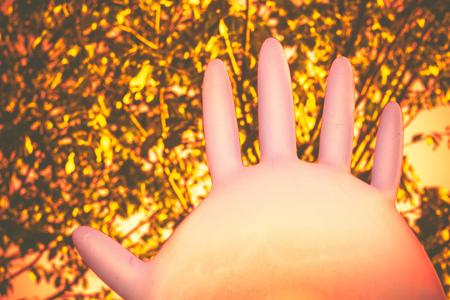 Colorful surgical glove inflated, air filled like a balloon.の写真素材