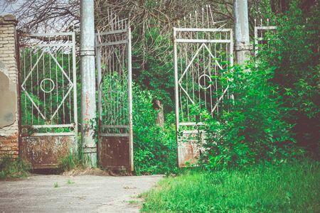 Abandoned rural stadium metal gate and green foliage.のeditorial素材
