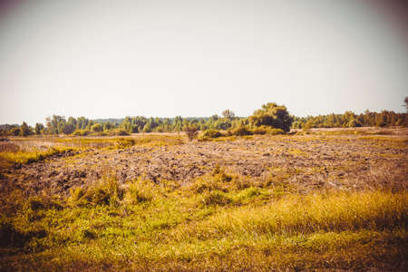 Sunny summer landscape with trees, vintage countryside background.の写真素材