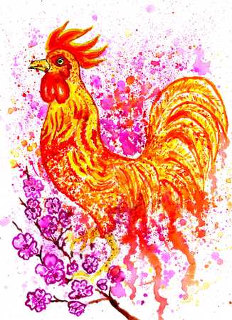 Cartoon watercolor rooster, hand drawn animalistic illustration.の写真素材