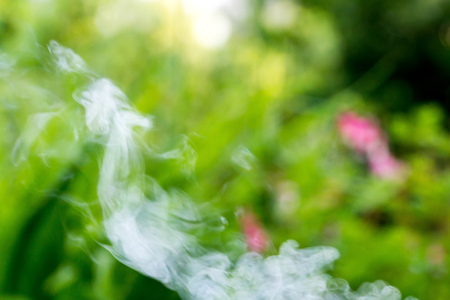 White smoke over defocused green foliage and flowers background.の写真素材